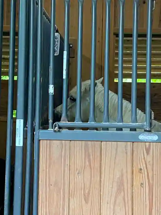 丹生川上神社(下社)の動物