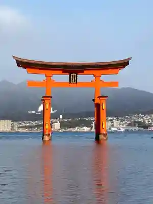 厳島神社の{uncategorized: "未分類", other: "その他", undefined: "問題あり", building: "その他建物", grave: "お墓", sacred_gate: "鳥居", guardian: "狛犬", statue: "像", buddha: "仏像", history: "歴史", nature: "自然", garden: "庭園", animal: "動物", pagoda: "塔", temizu: "手水舎", mountain_gate: "山門・神門", sanctuary: "本殿・本堂", subordinate: "末社・摂社", art: "芸術", scenery: "景色", jizo: "地蔵", ema: "絵馬", goshuin: "御朱印", omikuji: "おみくじ", items: "授与品その他", amulet: "お守り", goshuincho: "御朱印帳", eats: "食事", festival: "お祭り", votive_dance: "神楽", shichigosan: "七五三参", wedding: "結婚式", experience: "体験その他", initially: "初詣", around: "周辺", anti_infection: "感染症対策"}