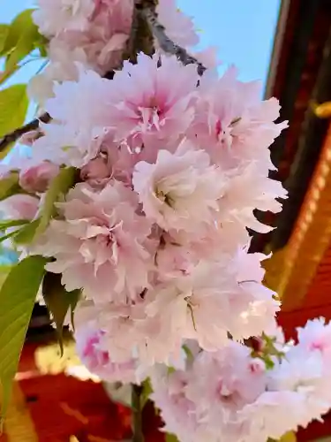 志波彦神社・鹽竈神社(宮城県)