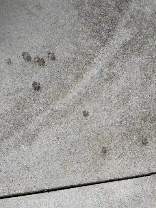 行願寺(革堂)の{uncategorized: "未分類", other: "その他", undefined: "問題あり", building: "その他建物", grave: "お墓", sacred_gate: "鳥居", guardian: "狛犬", statue: "像", buddha: "仏像", history: "歴史", nature: "自然", garden: "庭園", animal: "動物", pagoda: "塔", temizu: "手水舎", mountain_gate: "山門・神門", sanctuary: "本殿・本堂", subordinate: "末社・摂社", art: "芸術", scenery: "景色", jizo: "地蔵", ema: "絵馬", goshuin: "御朱印", omikuji: "おみくじ", items: "授与品その他", amulet: "お守り", goshuincho: "御朱印帳", eats: "食事", festival: "お祭り", votive_dance: "神楽", shichigosan: "七五三参", wedding: "結婚式", experience: "体験その他", initially: "初詣", around: "周辺", anti_infection: "感染症対策"}