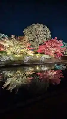 東寺（教王護国寺）(京都府)