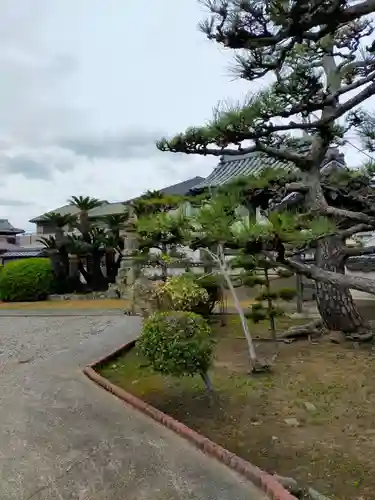 称念寺(大阪府)