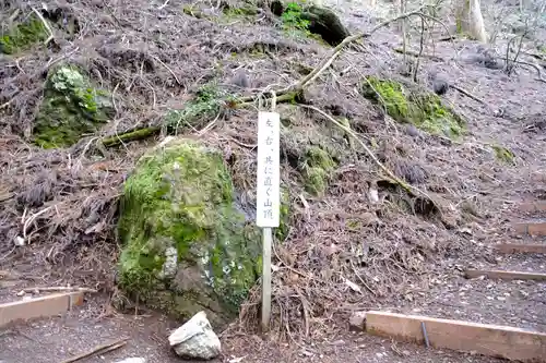 玉置神社の自然