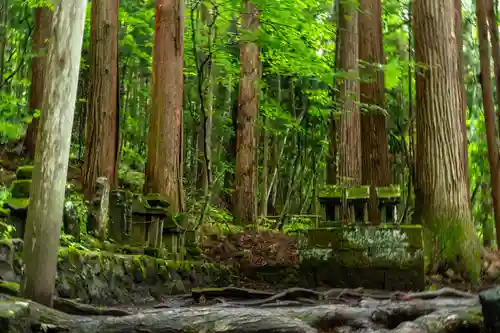 戸隠神社宝光社(長野県)
