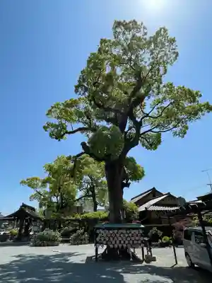正八幡宮(福岡県)