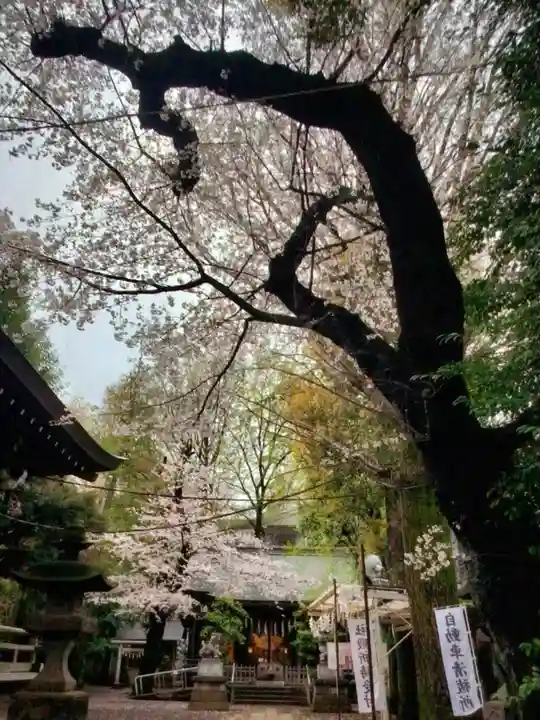 神明氷川神社(東京都)