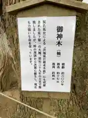 常陸國總社宮の建物その他