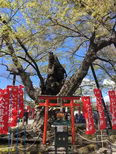 秩父今宮神社の鳥居