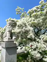 岡湊神社(福岡県)