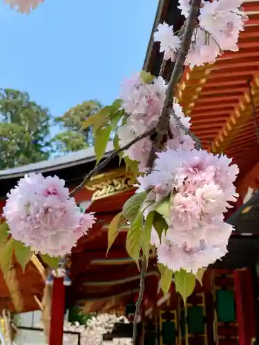 志波彦神社・鹽竈神社(宮城県)