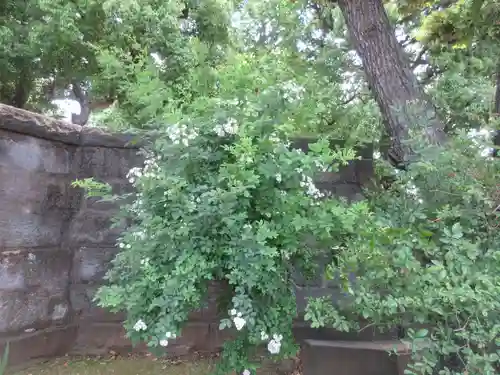 寛永寺開山堂(東京都)