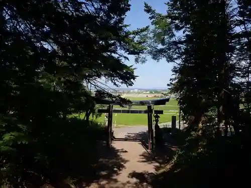 北野神社の鳥居