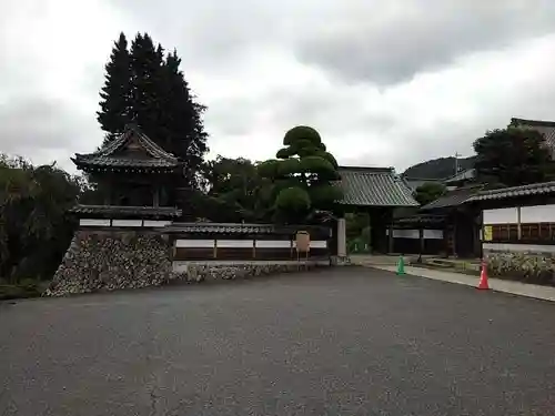 金剛寺の仏像