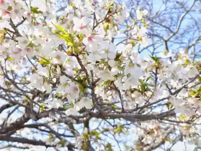旗上弁財天社の{uncategorized: "未分類", other: "その他", undefined: "問題あり", building: "その他建物", grave: "お墓", sacred_gate: "鳥居", guardian: "狛犬", statue: "像", buddha: "仏像", history: "歴史", nature: "自然", garden: "庭園", animal: "動物", pagoda: "塔", temizu: "手水舎", mountain_gate: "山門・神門", sanctuary: "本殿・本堂", subordinate: "末社・摂社", art: "芸術", scenery: "景色", jizo: "地蔵", ema: "絵馬", goshuin: "御朱印", omikuji: "おみくじ", items: "授与品その他", amulet: "お守り", goshuincho: "御朱印帳", eats: "食事", festival: "お祭り", votive_dance: "神楽", shichigosan: "七五三参", wedding: "結婚式", experience: "体験その他", initially: "初詣", around: "周辺", anti_infection: "感染症対策"}