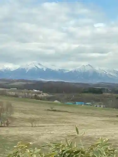 美瑛神社の周辺
