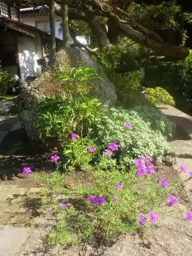 海蔵寺の庭園