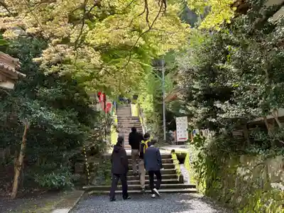 三佛寺(鳥取県)