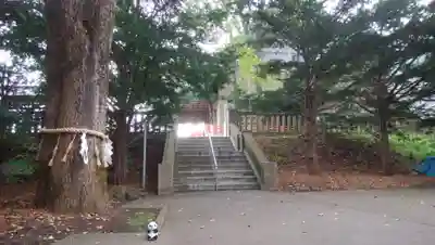 鳥取神社のその他建物