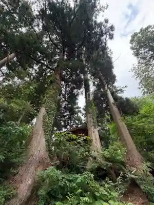 唐松神社(秋田県)