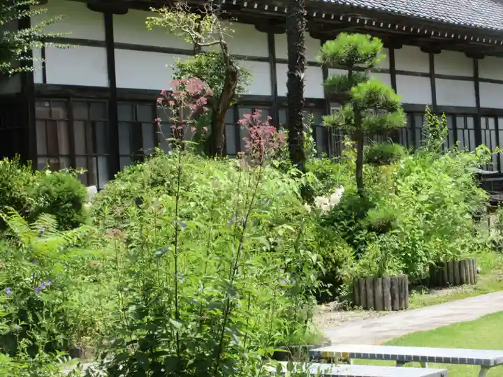 法善寺(埼玉県)