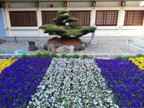 愛知縣護國神社の庭園