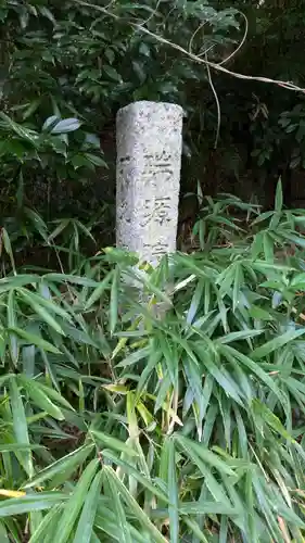 大徳寺(京都府)