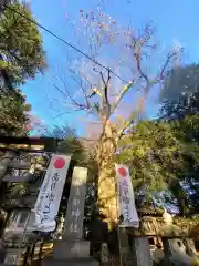 沓掛香取神社の自然