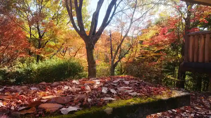 玉野御嶽神社の自然