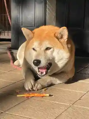 笠䅣稲荷神社(神奈川県)