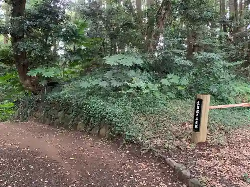 愛宕神社の庭園