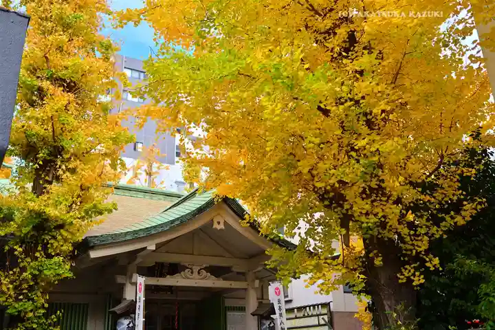 銀杏岡八幡神社(東京都)