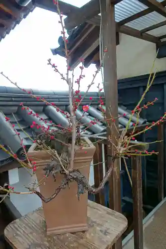 柳澤神社の芸術
