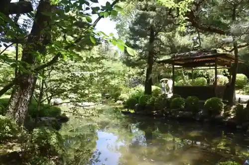 平安神宮の庭園