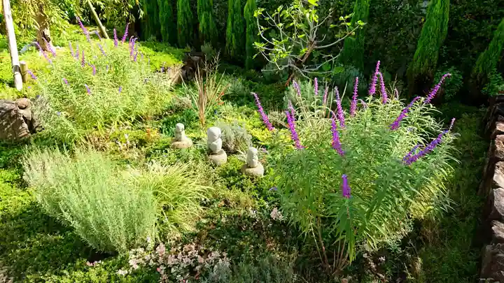 寿量山 速成寺の自然