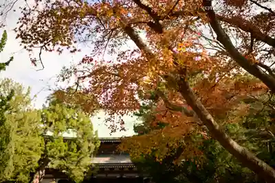 円覚寺のその他建物