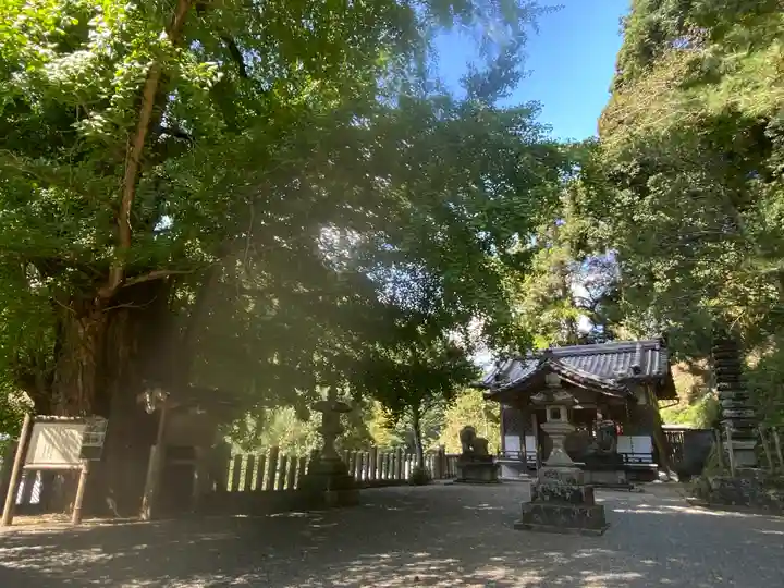 素盞雄神社(奈良県)