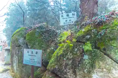 石都々古和気神社(福島県)