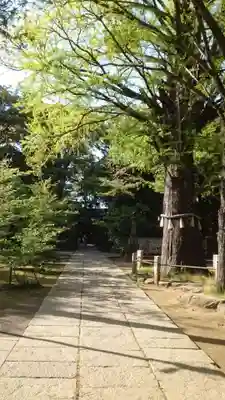 赤坂氷川神社(東京都)