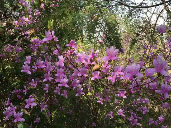 御上神社奥宮(滋賀県)
