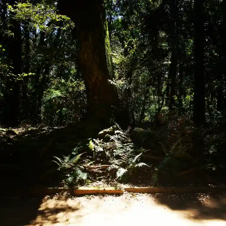 鹿島神宮の自然