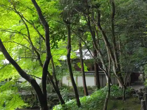 南禅院(京都府)