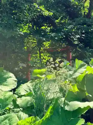 美畑神社(北海道)