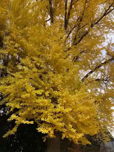 神明宮(青森県)