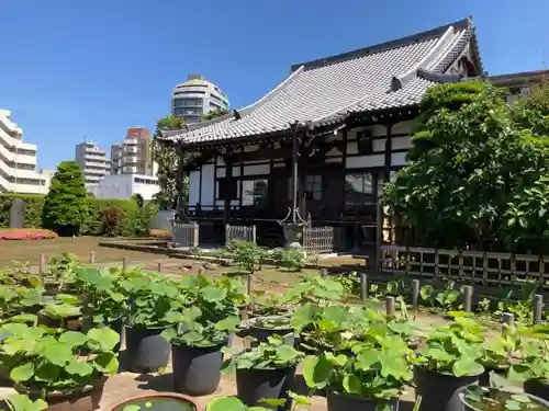 円乗院(東京都)
