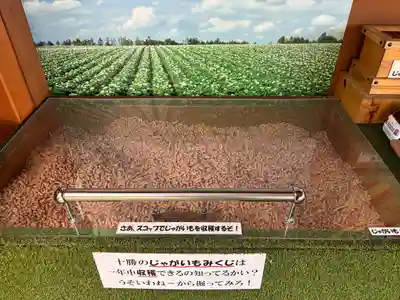 浦幌神社・乳神神社のおみくじ