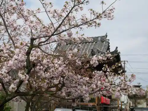 引接寺（千本ゑんま堂）の自然
