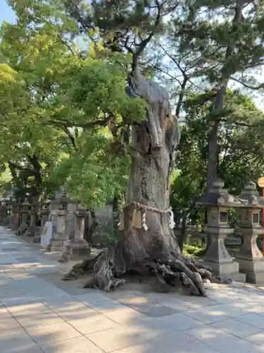 住吉大社の自然