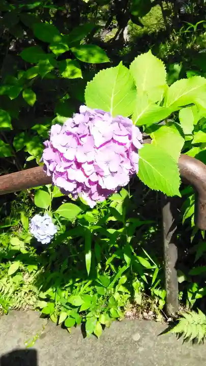 東慶寺(神奈川県)