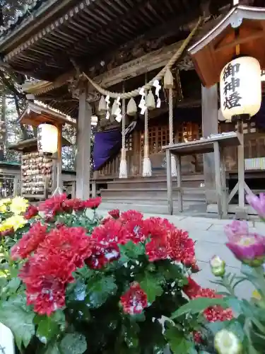 間々田八幡宮の本殿