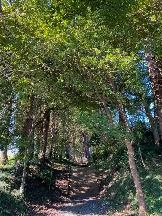 大井神社(太郎神社)のその他建物